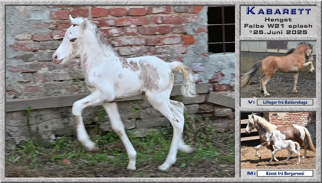 25_Kabarett