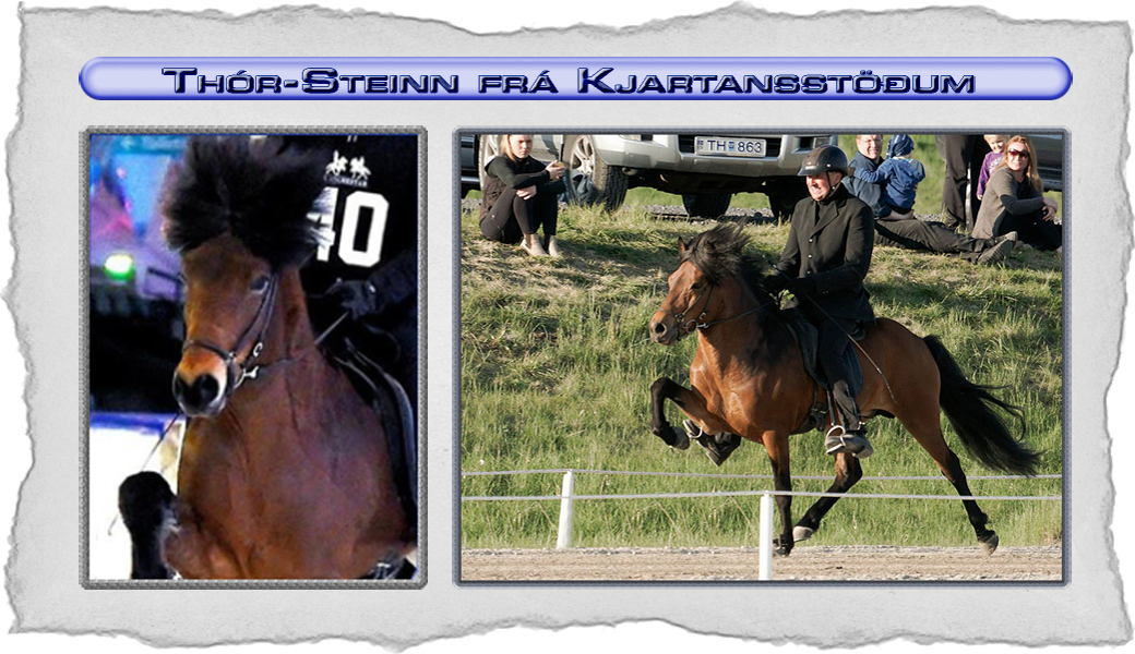 04_thorsteinn